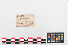 Etiketten zu Schleifstein (NHMW-PRAE-024734)
